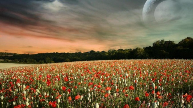 都是研制核武器，为何只敢动伊朗，对朝鲜确畏首畏尾？